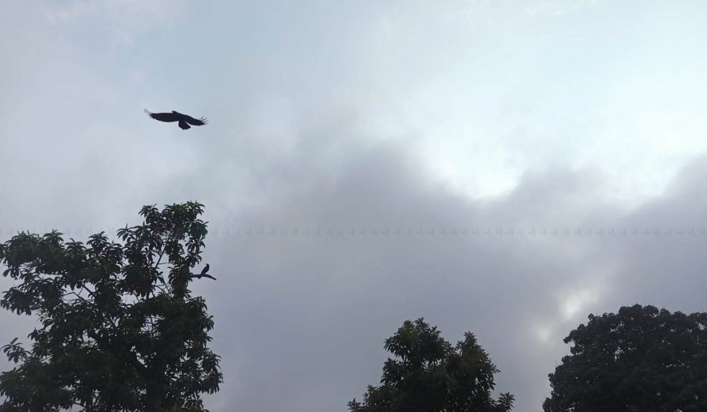 आज यी प्रदेशहरुमा ठुलो वर्षाको सम्भावना